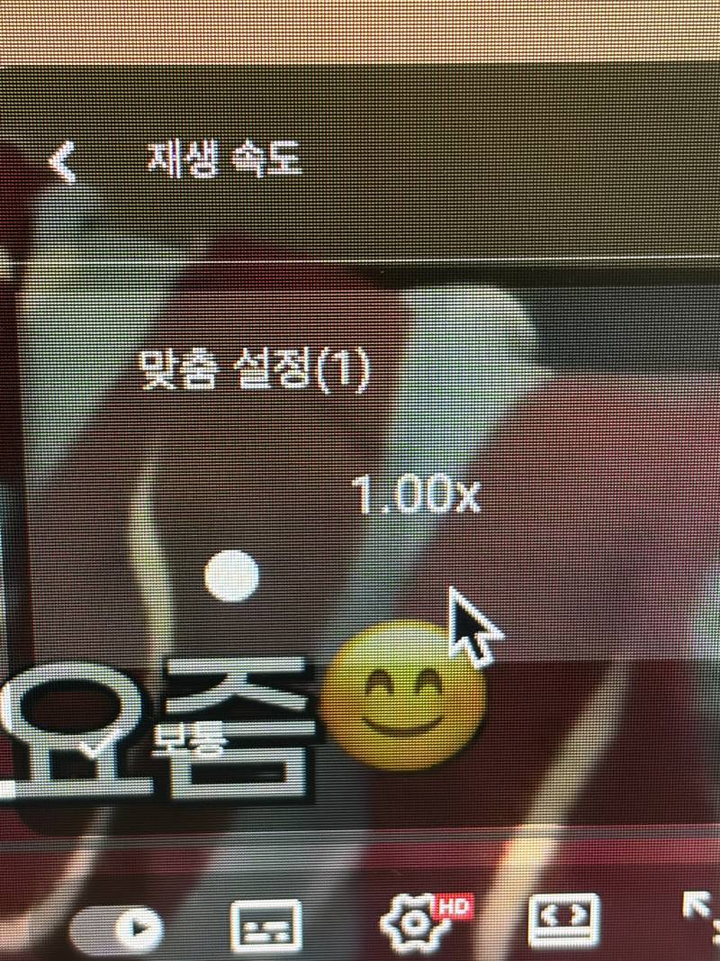 [잡담] pc유튜브 대체 왜 재생속도 변경이안됨 도랏냐 | 인스티즈