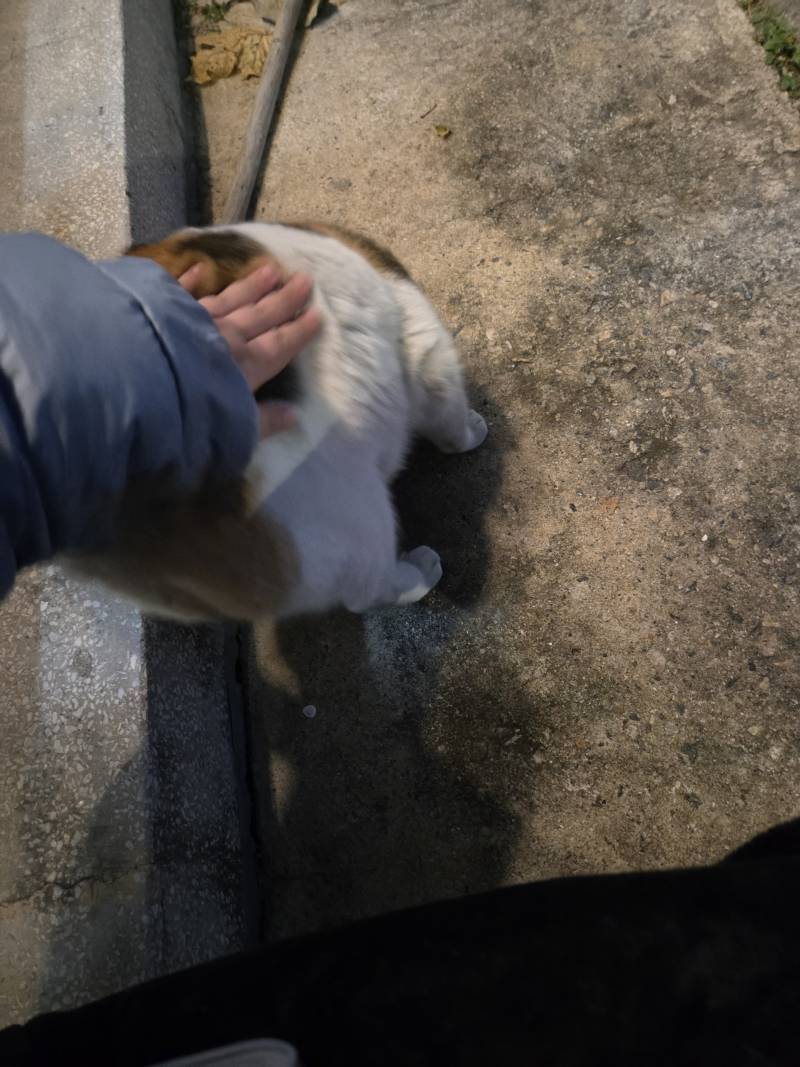 [잡담] 부럽지부럽지 | 인스티즈