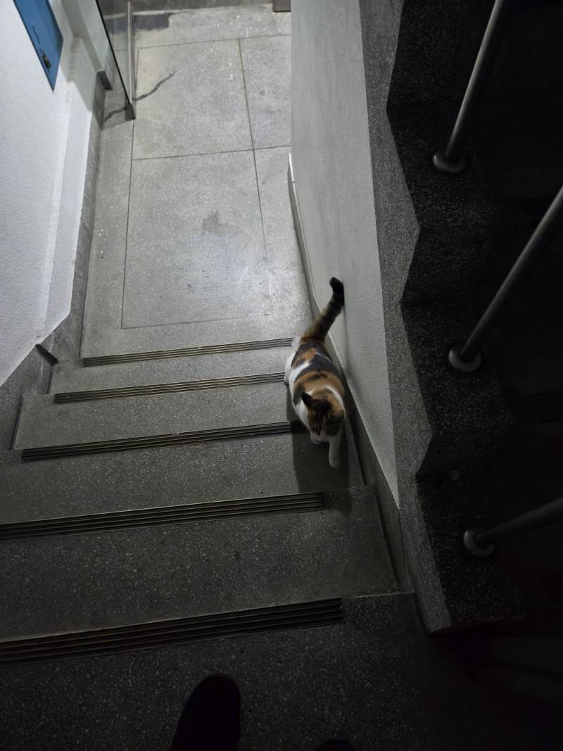 [잡담] 부럽지부럽지 | 인스티즈