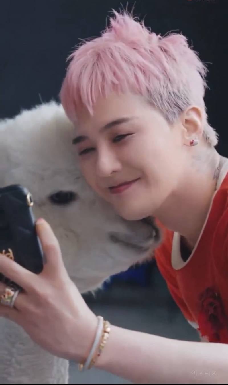 동물한테도 도화살 있는 듯한 연예인..jpgif | 인스티즈