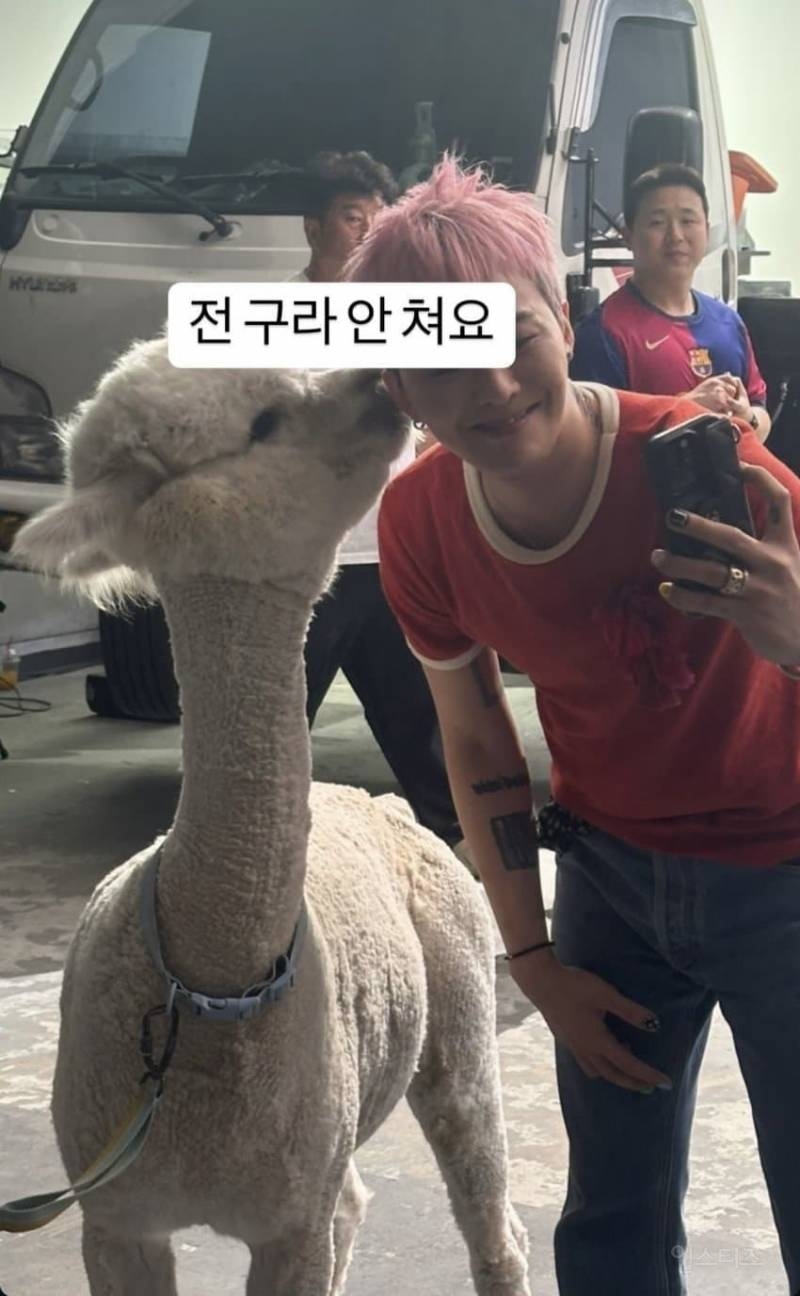 동물한테도 도화살 있는 듯한 연예인..jpgif | 인스티즈