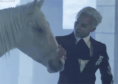동물한테도 도화살 있는 듯한 연예인..jpgif | 인스티즈