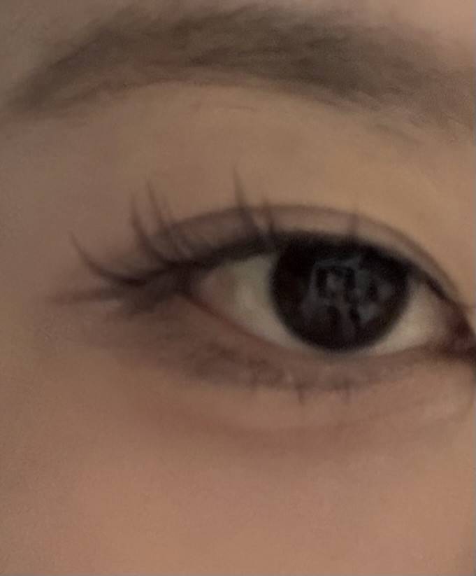 [잡담] 이거 속눈썹 데일리로 하면 과해보일까? | 인스티즈
