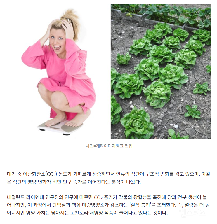 우리가 살 찌는건 날씨 탓이다.jpg | 인스티즈