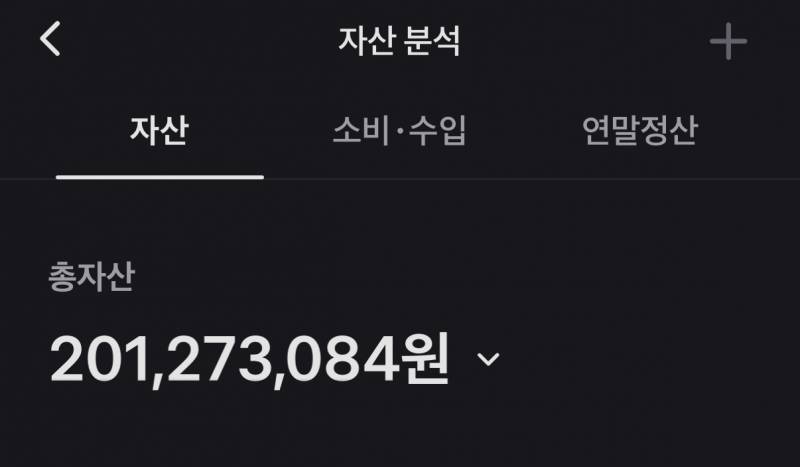 [잡담] 쓰니 자산 공개 | 인스티즈