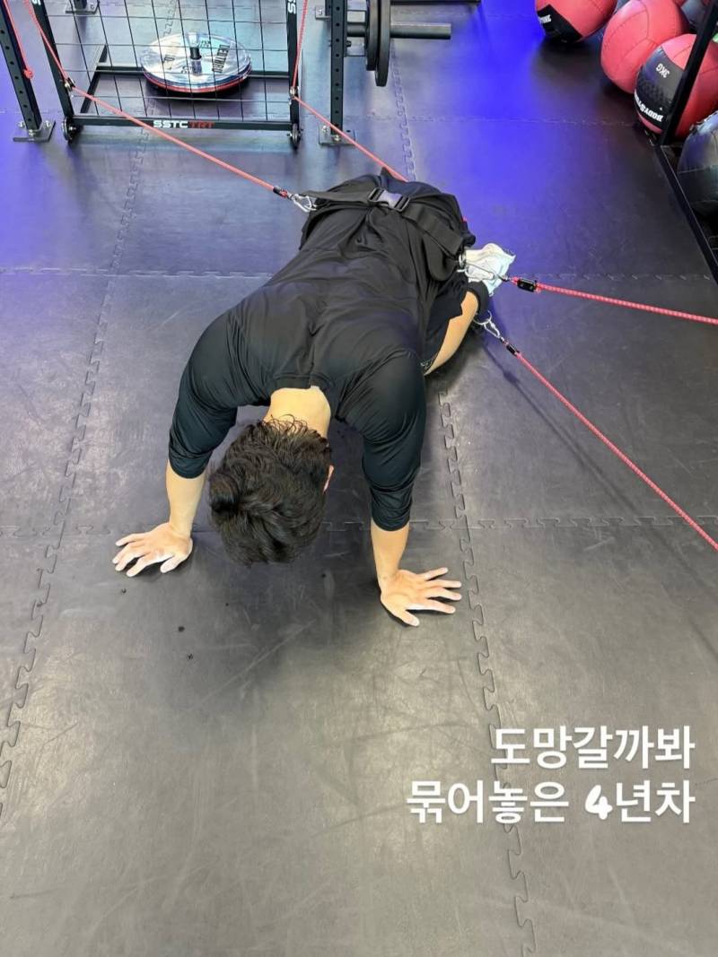 [잡담] 이거그거같음 쿵푸판다에 | 인스티즈