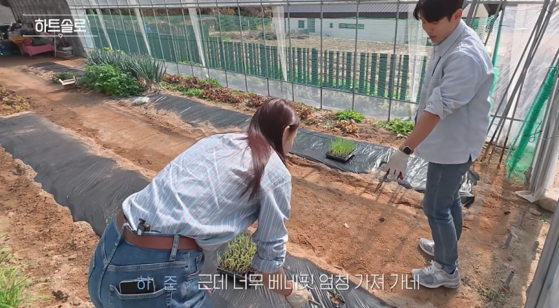 자체 하트시그널 이후 다시 만난 한혜진 | 인스티즈