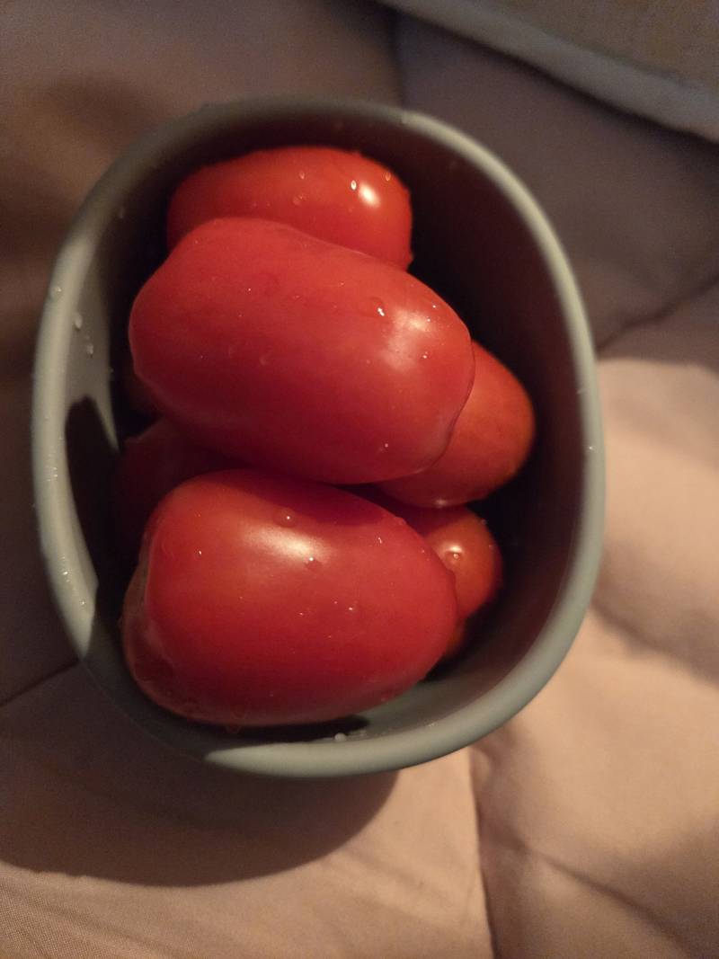 [잡담] 와 대추토마토 짱커;;; | 인스티즈