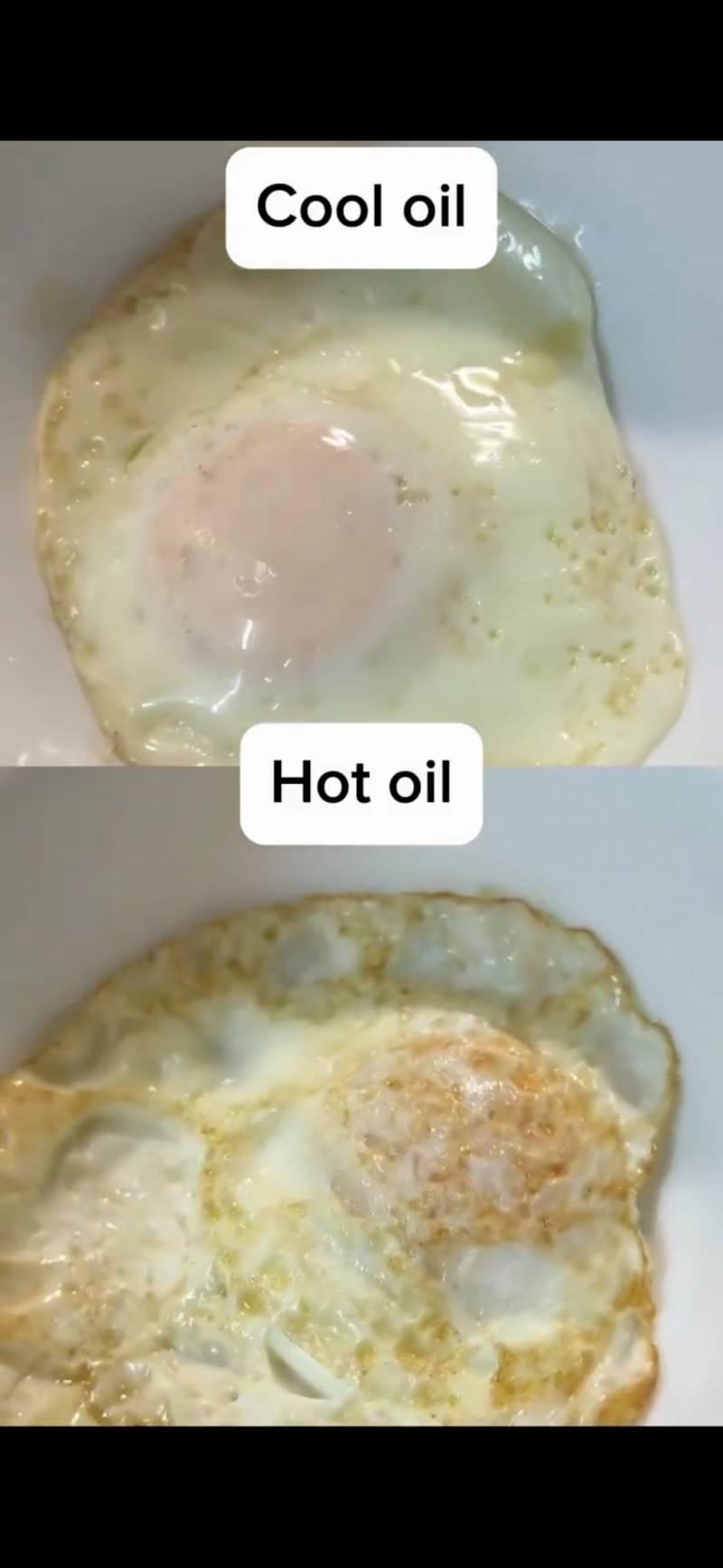 [잡담] 내가 진짜 용납 못하는 계란후라이가 있음 | 인스티즈