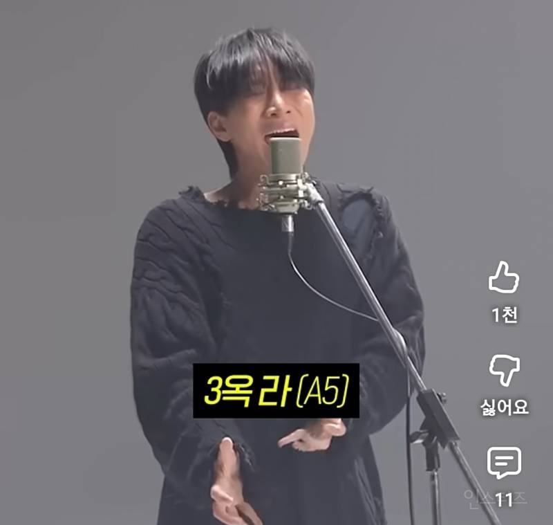 저작권 절대 지키겠다는 아이돌의 돌고래고음.jpg | 인스티즈