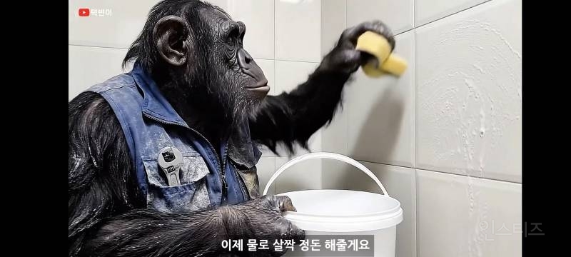 요즘 1만 유튜버 근황.jpg | 인스티즈