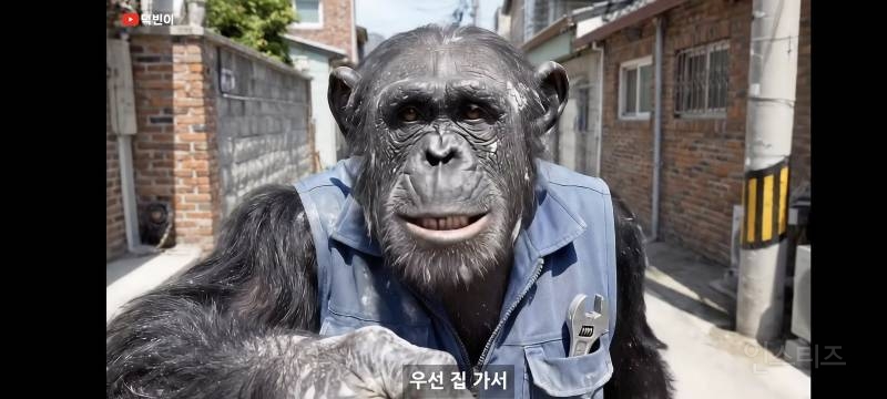요즘 1만 유튜버 근황.jpg | 인스티즈