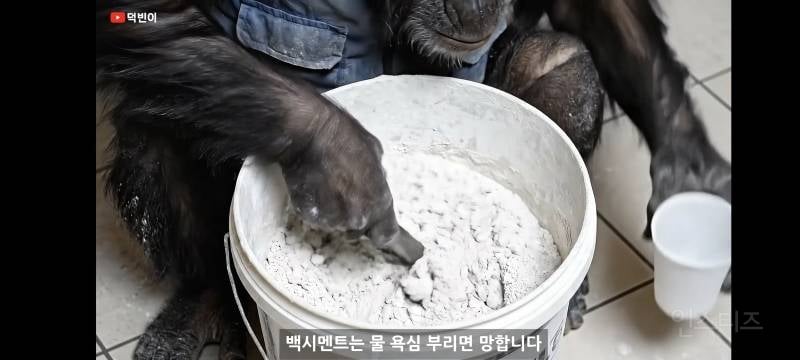 요즘 1만 유튜버 근황.jpg | 인스티즈