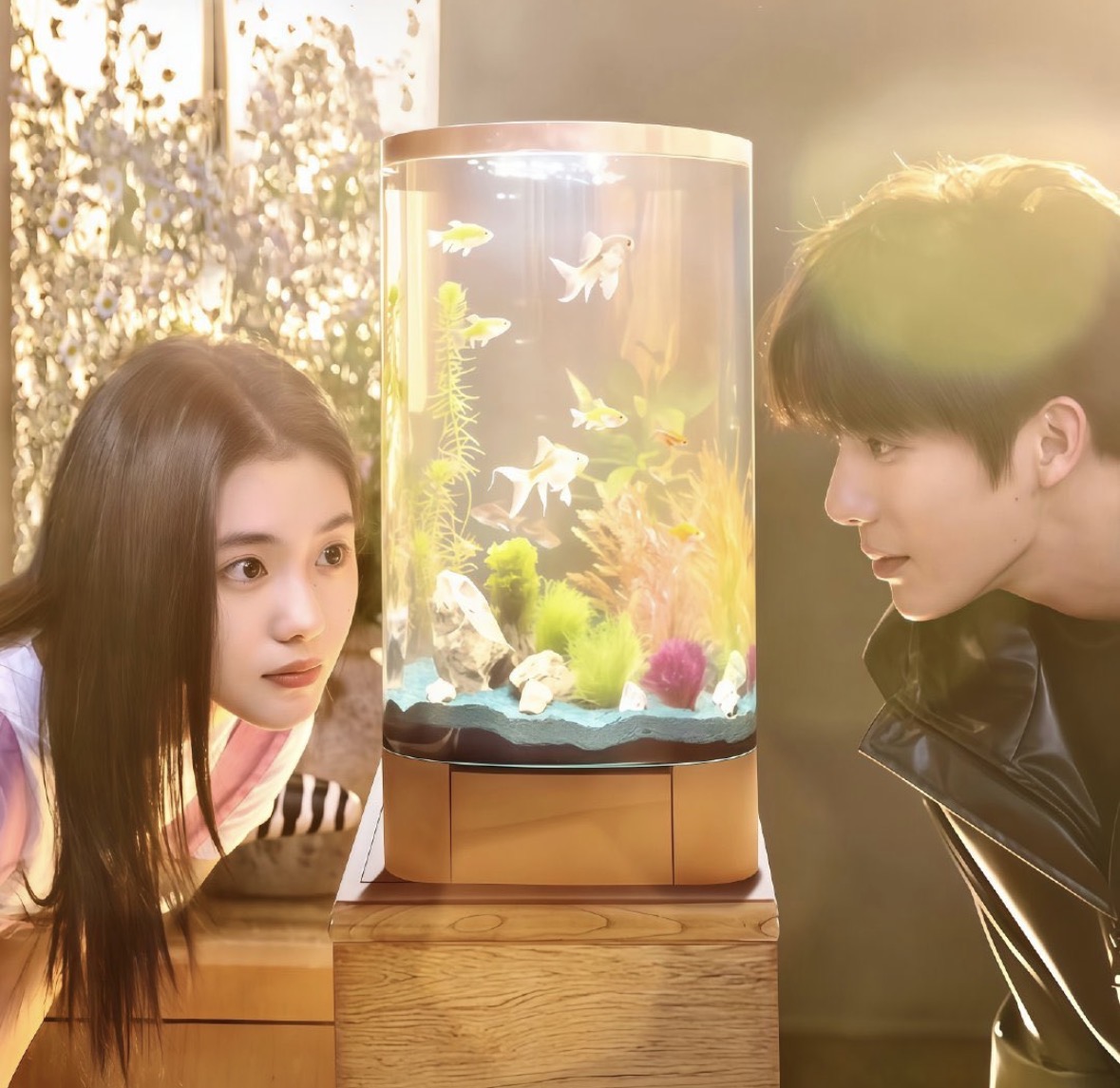 [잡담] 나 최근 본 중드 성공했다.. | 인스티즈