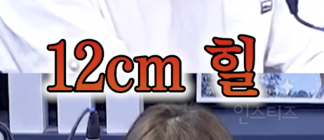 한국의 엔젤이 무대에서 12cm 킬힐을 유지하는 이유...jpg | 인스티즈
