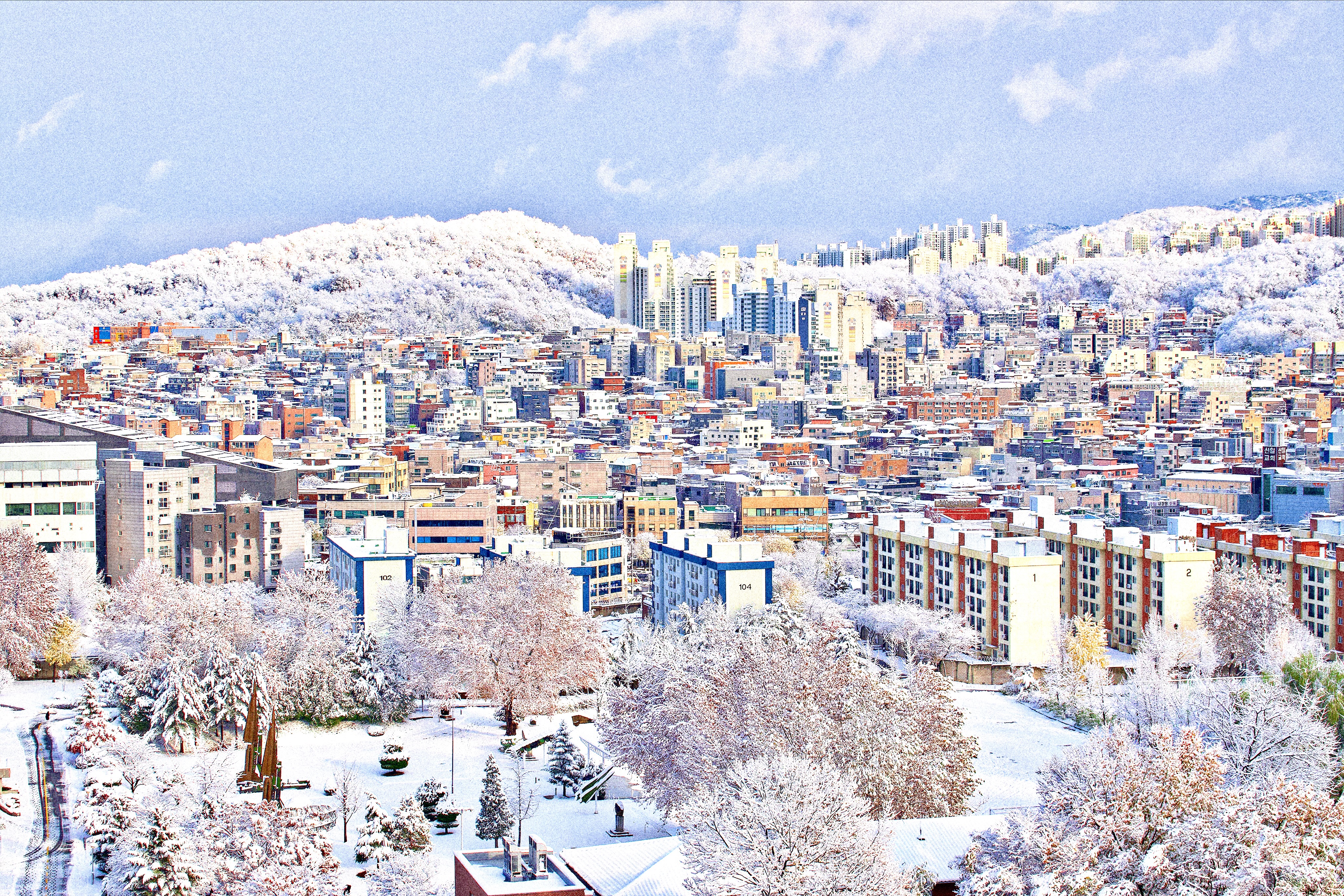 [잡담] 눈 그쳤길래 사진 찍었는데 동화같아...❄️ | 인스티즈