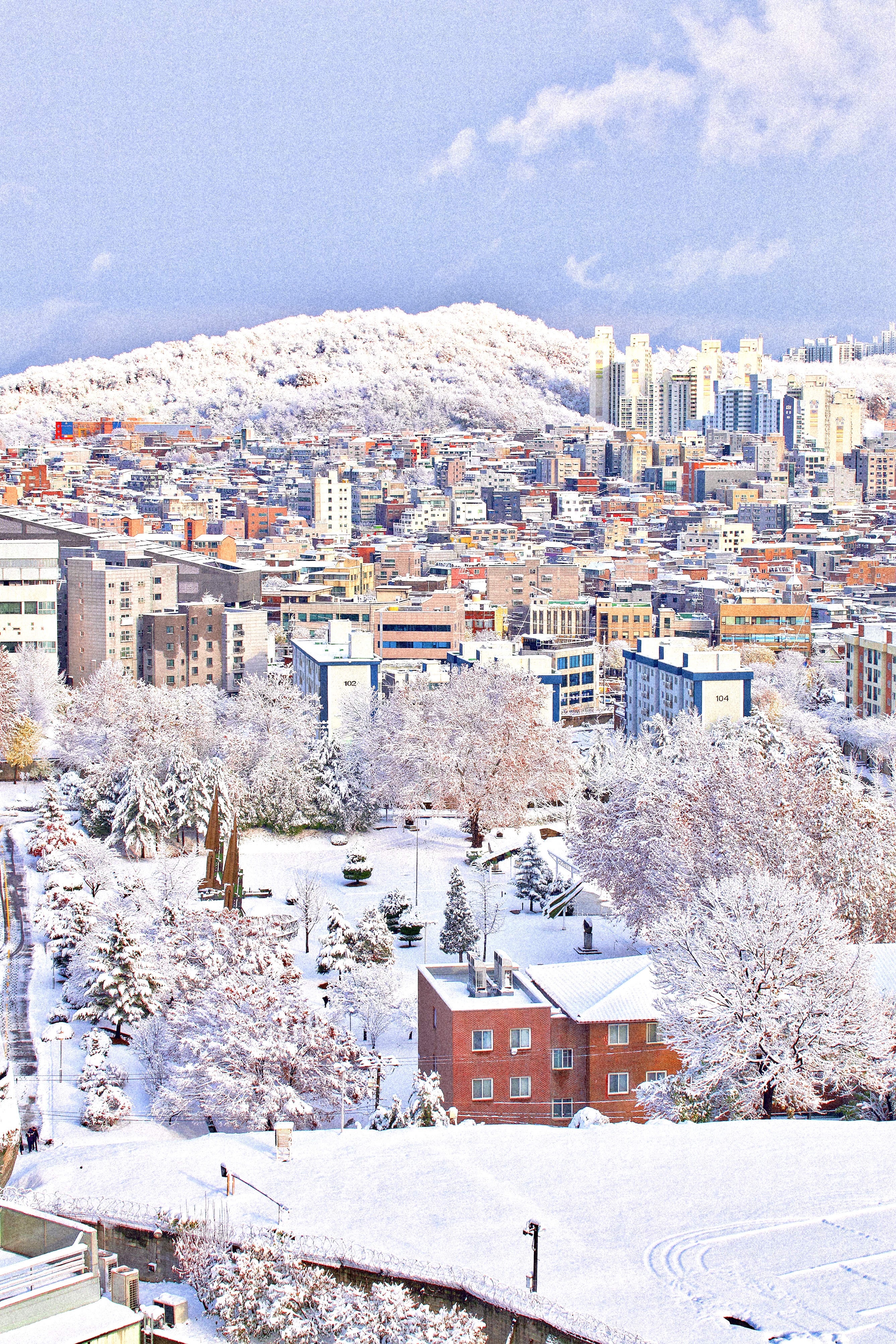 [잡담] 눈 그쳤길래 사진 찍었는데 동화같아...❄️ | 인스티즈