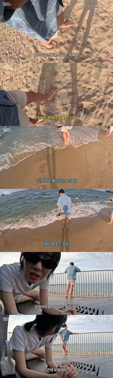 현재 난리 난 오징어지킴이 부부..JPG | 인스티즈