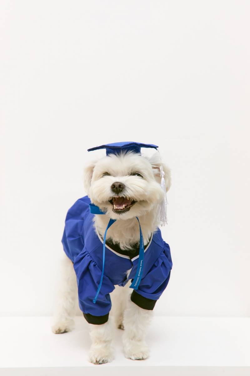 [잡담] 우리애 서울대졸업했어!! 🥳🥳🥹💙 | 인스티즈