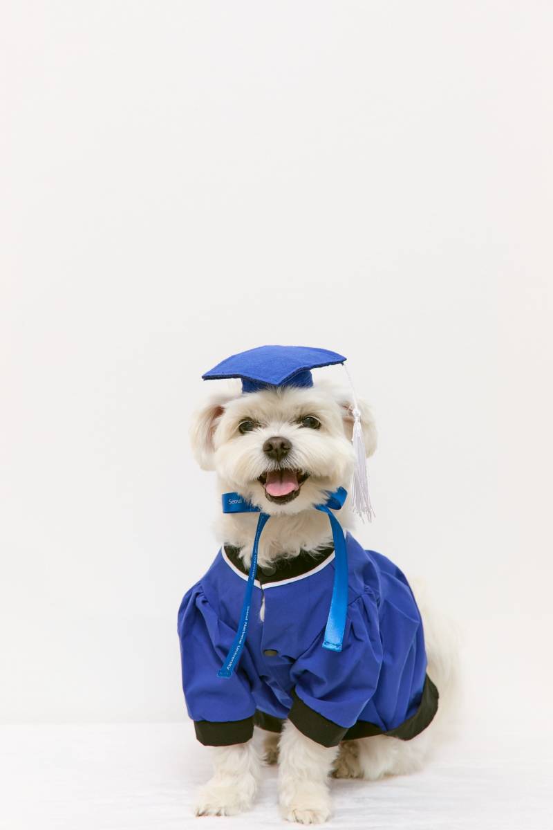 [잡담] 우리애 서울대졸업했어!! 🥳🥳🥹💙 | 인스티즈