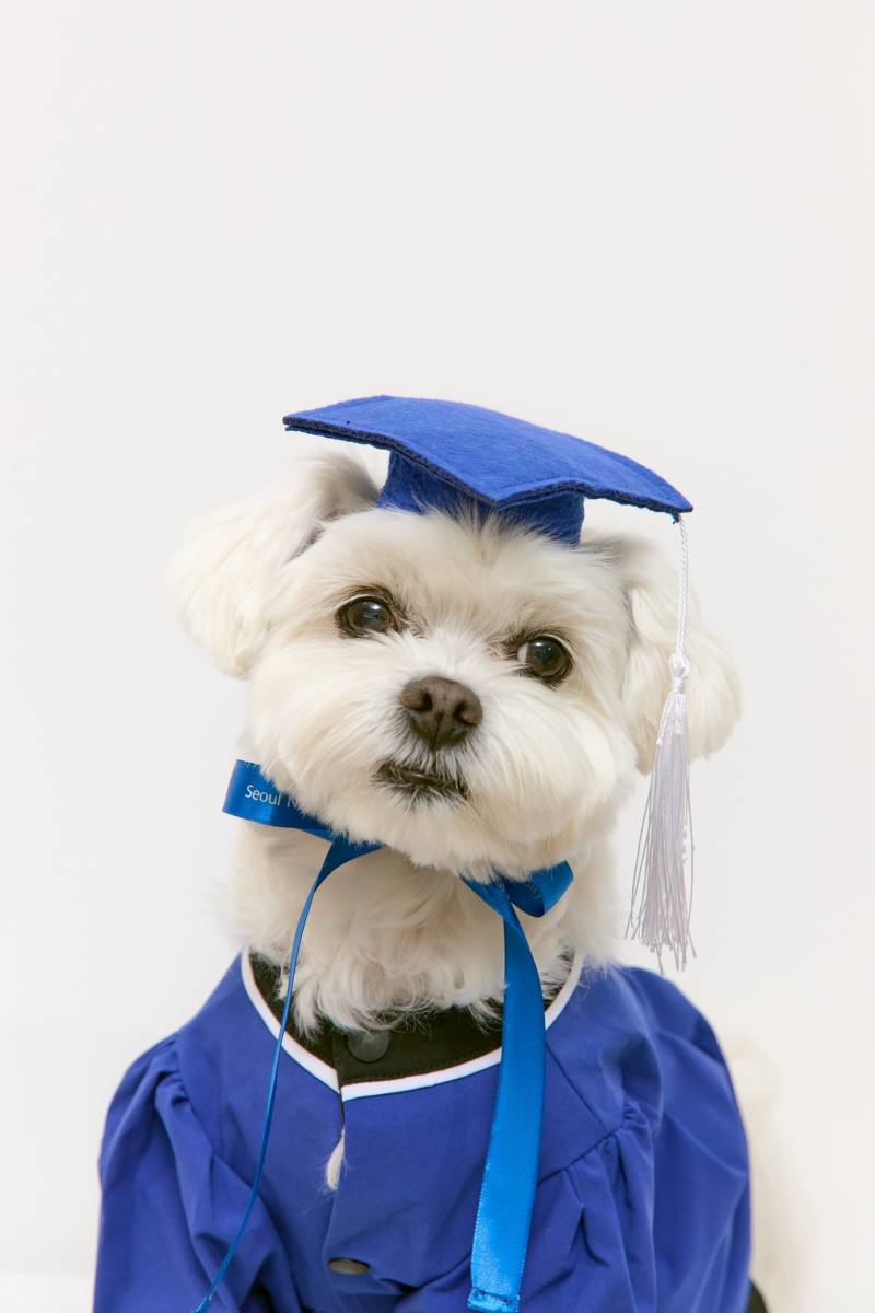 [잡담] 우리애 서울대졸업했어!! 🥳🥳🥹💙 | 인스티즈