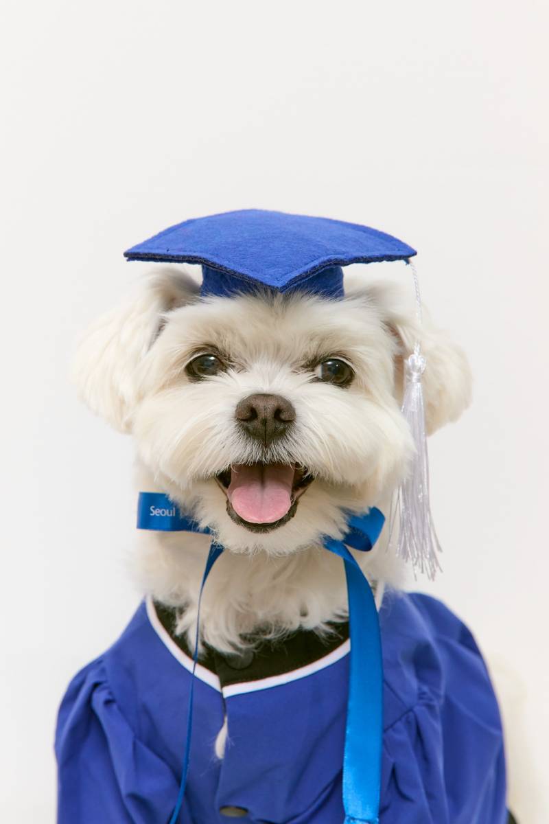 [잡담] 우리애 서울대졸업했어!! 🥳🥳🥹💙 | 인스티즈