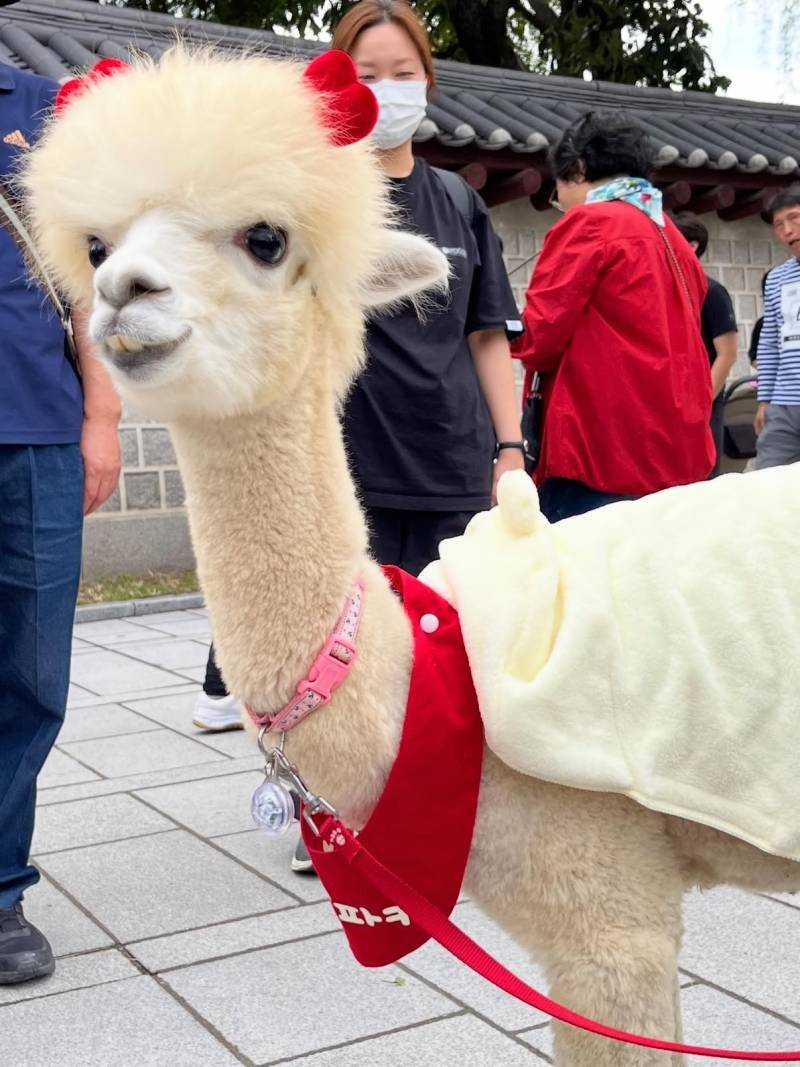 [잡담] 혈육 ㅋㄷ 내가 치웠다.... 하.... | 인스티즈