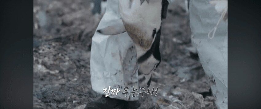 [마플] 백종원 프로는 또 난리났대 펭귄을 무슨 닭 잡듯이 거꾸로 듦 | 인스티즈