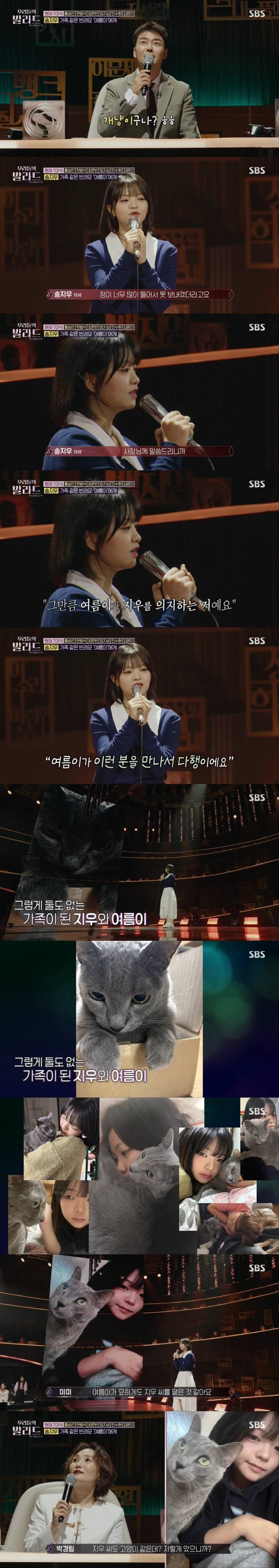 고양이 집사가 부르는 고양이 노래ㅋㅋㅋㅋㅋㅋㅋㅋ | 인스티즈