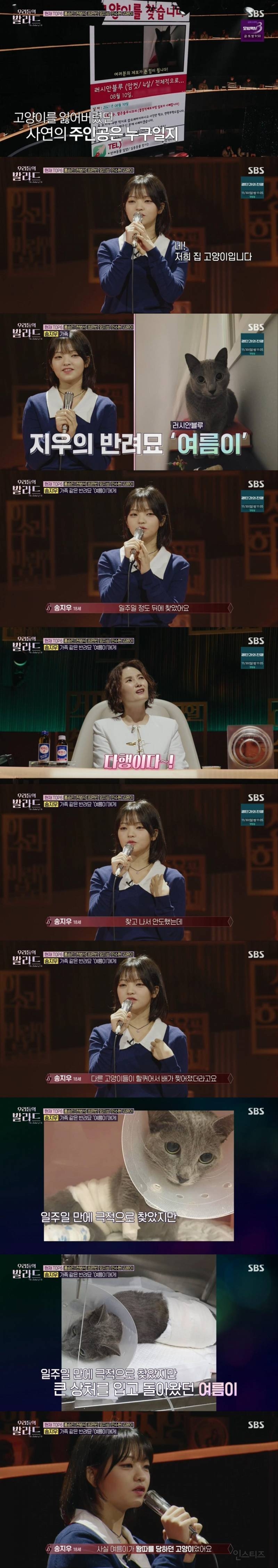 고양이 집사가 부르는 고양이 노래ㅋㅋㅋㅋㅋㅋㅋㅋ | 인스티즈