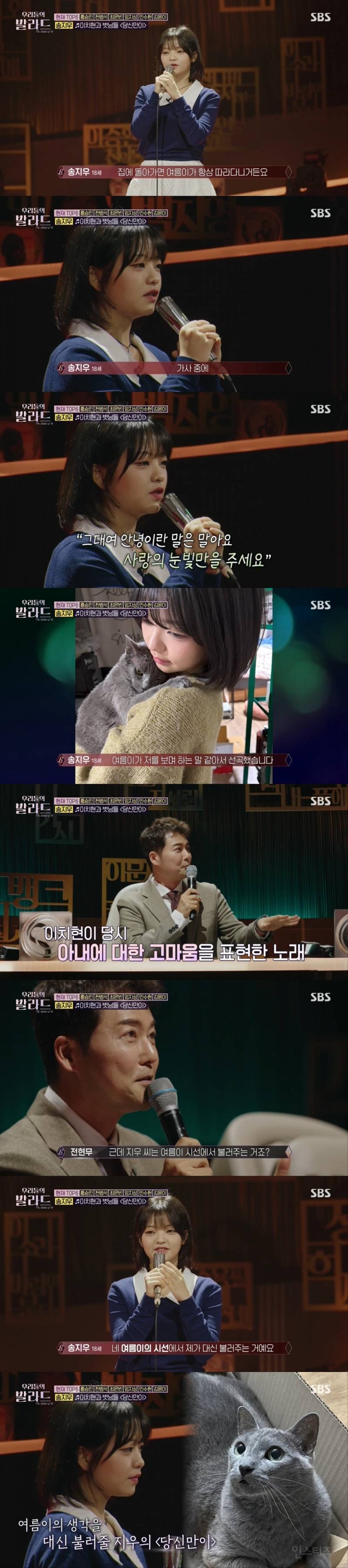 고양이 집사가 부르는 고양이 노래ㅋㅋㅋㅋㅋㅋㅋㅋ | 인스티즈