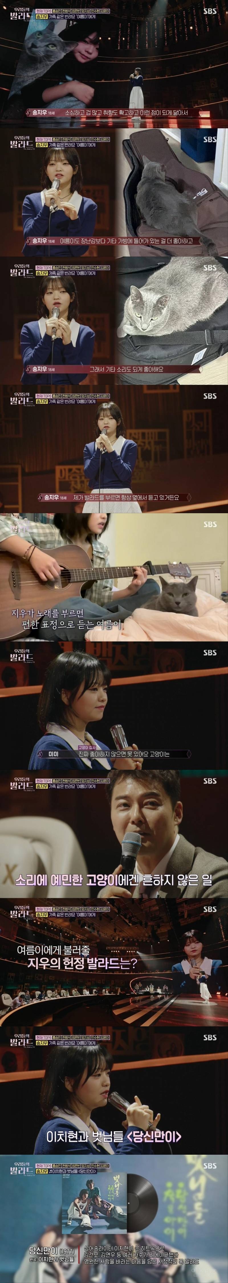 고양이 집사가 부르는 고양이 노래ㅋㅋㅋㅋㅋㅋㅋㅋ | 인스티즈