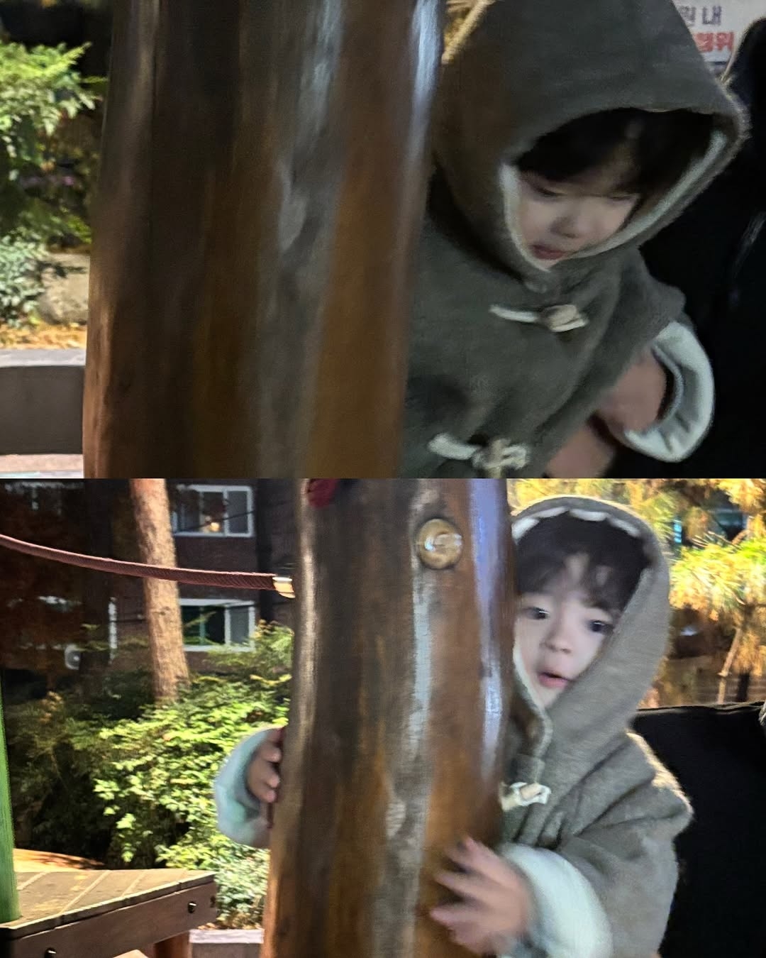 [잡담] 이진이 어머니 사진 진짜 잘 찍는다... | 인스티즈