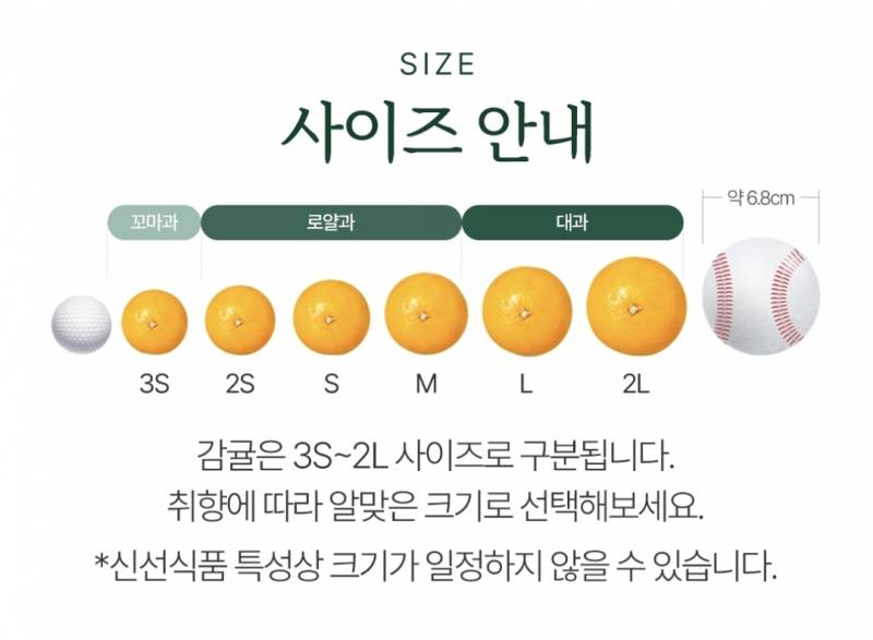 [잡담] 감귤 사려고 쿠팡 들어갔는데 | 인스티즈