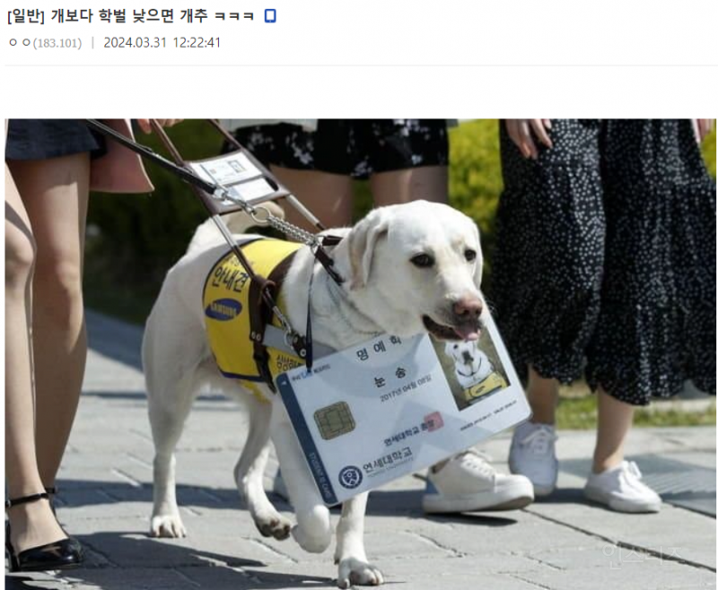 연세대 출신 삼성 직원...ㄹㅇ | 인스티즈