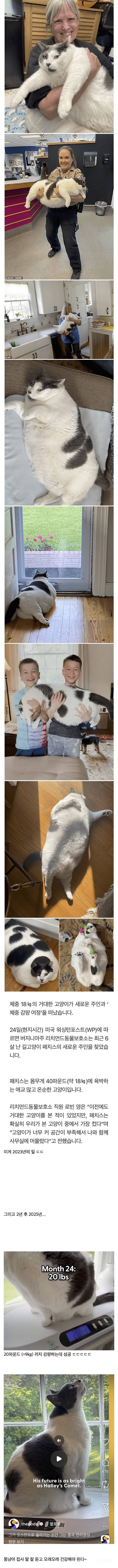 미국에서 화제였던 18kg 뚱냥이 근황 | 인스티즈