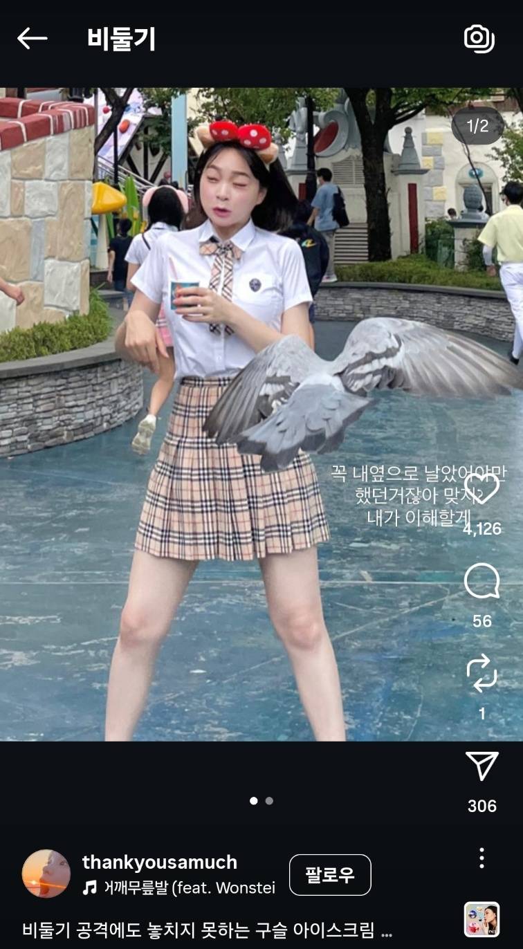 [잡담] 롯데월드 가면 비둘기가 진짜 이렇게 습격해..? | 인스티즈