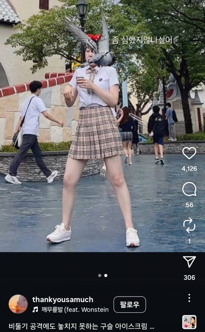 [잡담] 롯데월드 가면 비둘기가 진짜 이렇게 습격해..? | 인스티즈