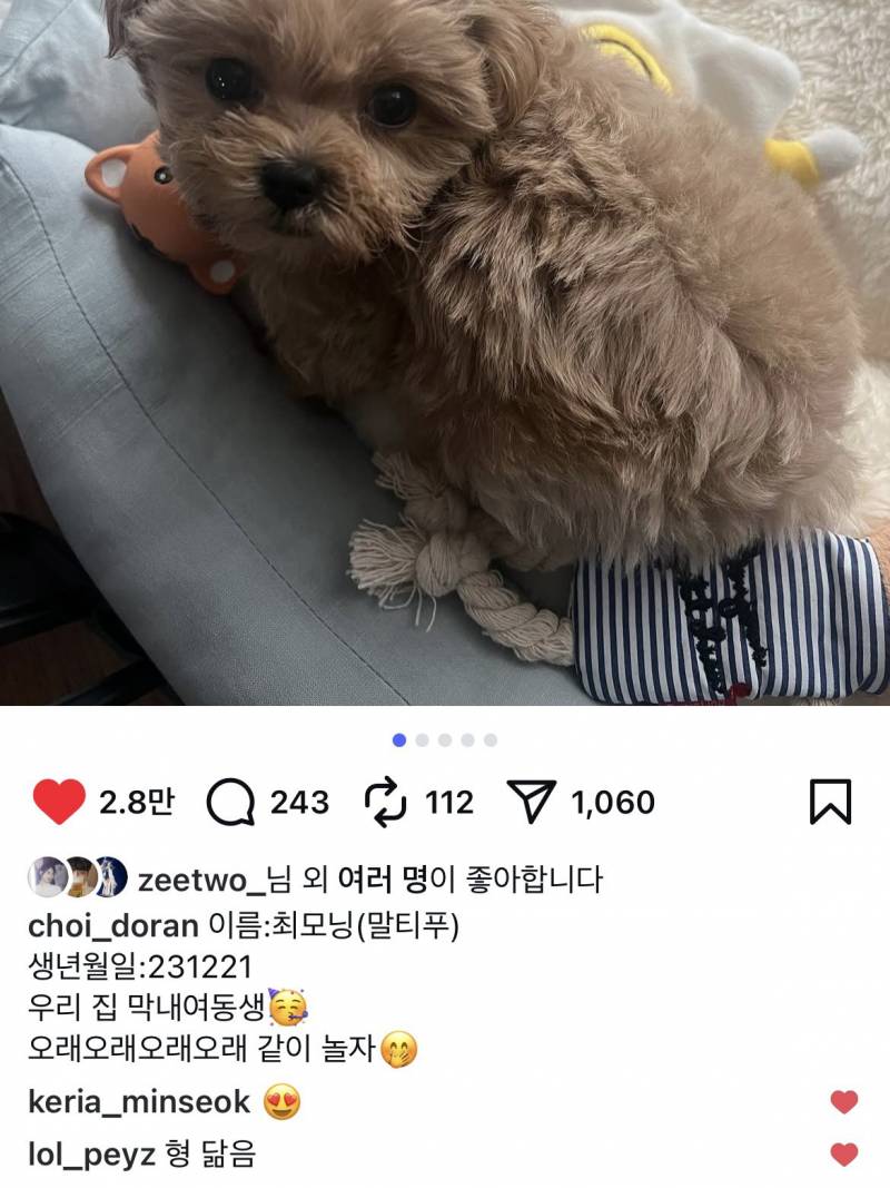 [잡담] 모닝이 첫 게시물에서 만난 페케 봇듀 | 인스티즈