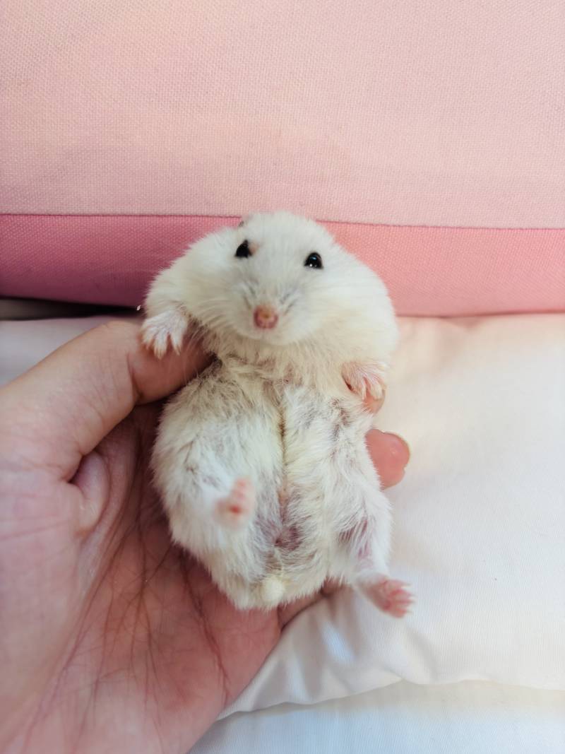 [잡담] 아 진짜 뭐만 하면 예쁜척해서 짜증나네 | 인스티즈