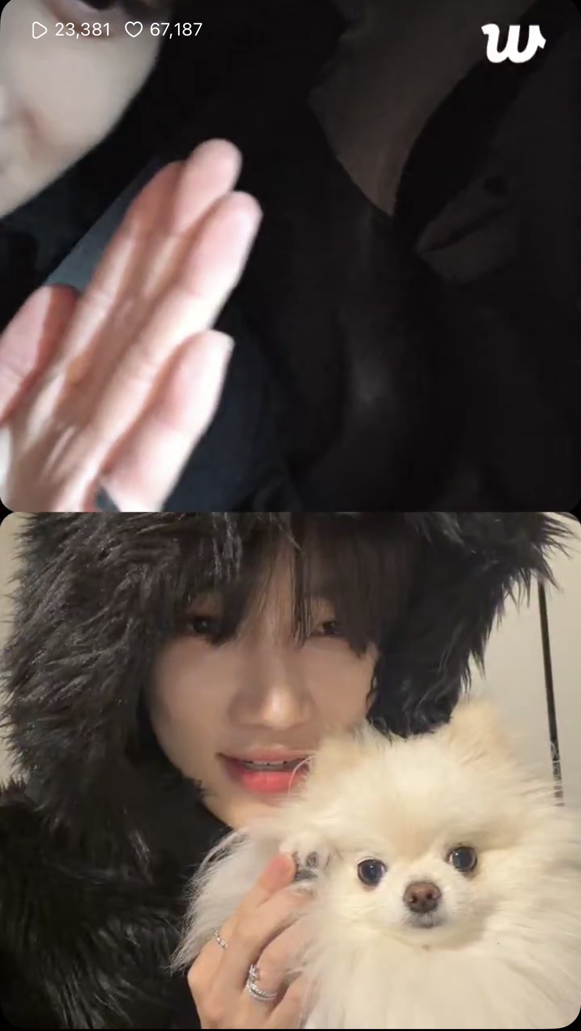 [잡담] 더보이즈 뉴 강쥐 개귀엽다... | 인스티즈