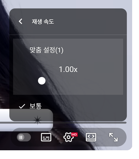 [잡담] 유튜브 배속 재생 안 되는 익들 있어?? 왜 이런거야?? | 인스티즈