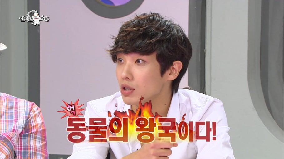 [잡담] 연예계는 동물의 왕국이다! | 인스티즈