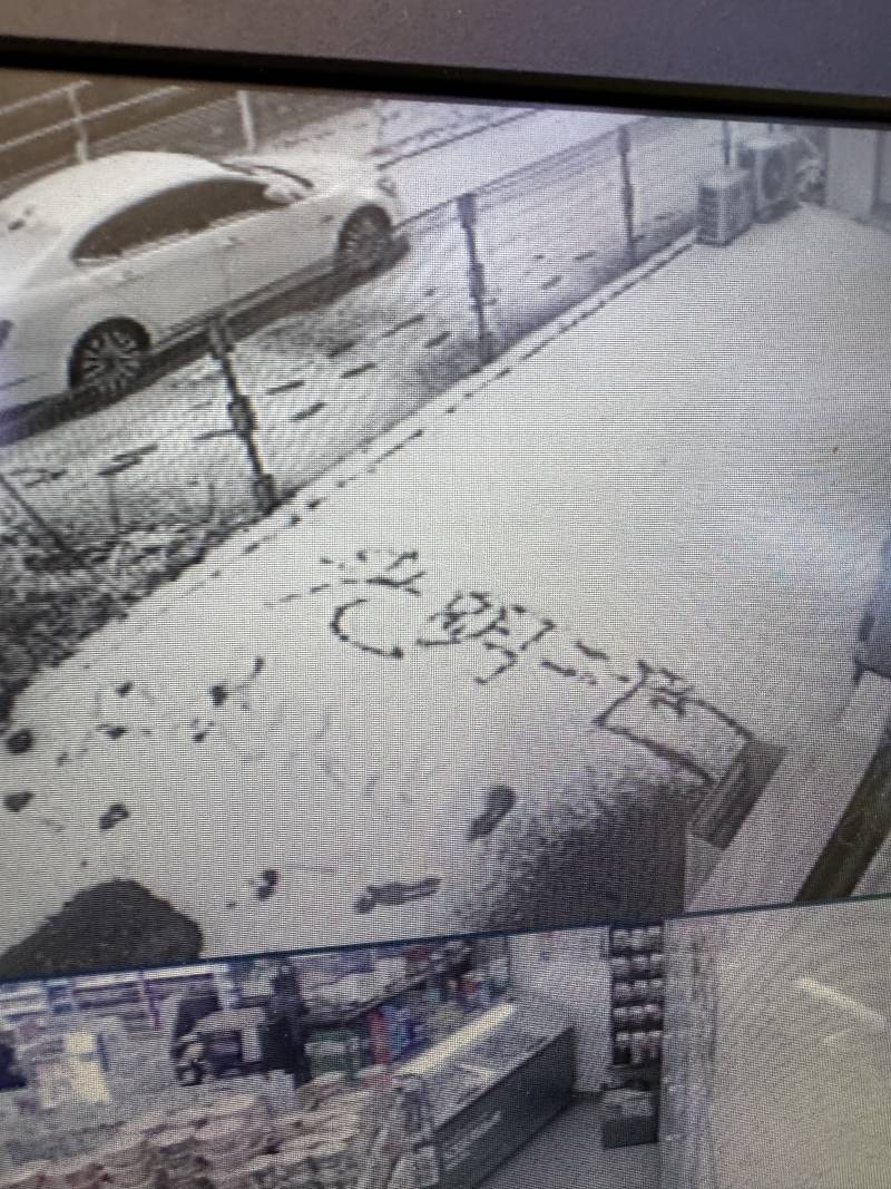 [잡담] 한자 잘알 익 있을까 ?? | 인스티즈