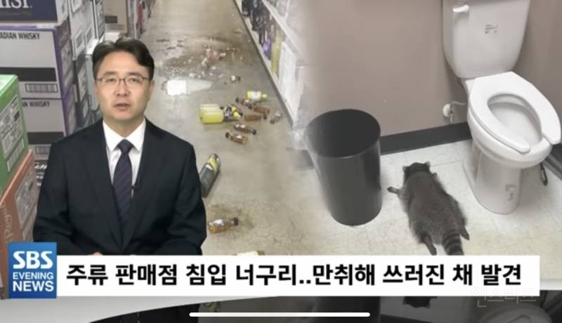 주류판매점 무단침입한 후 만취된 채 다음날 발견된 파렴치한 범인 | 인스티즈
