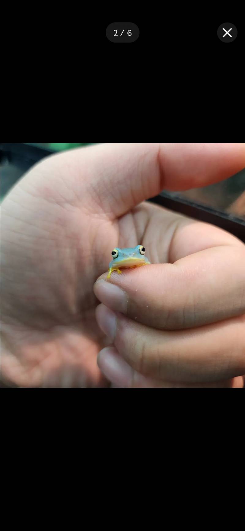 [잡담] 이 개구리 🐸 귀엽다 .. | 인스티즈