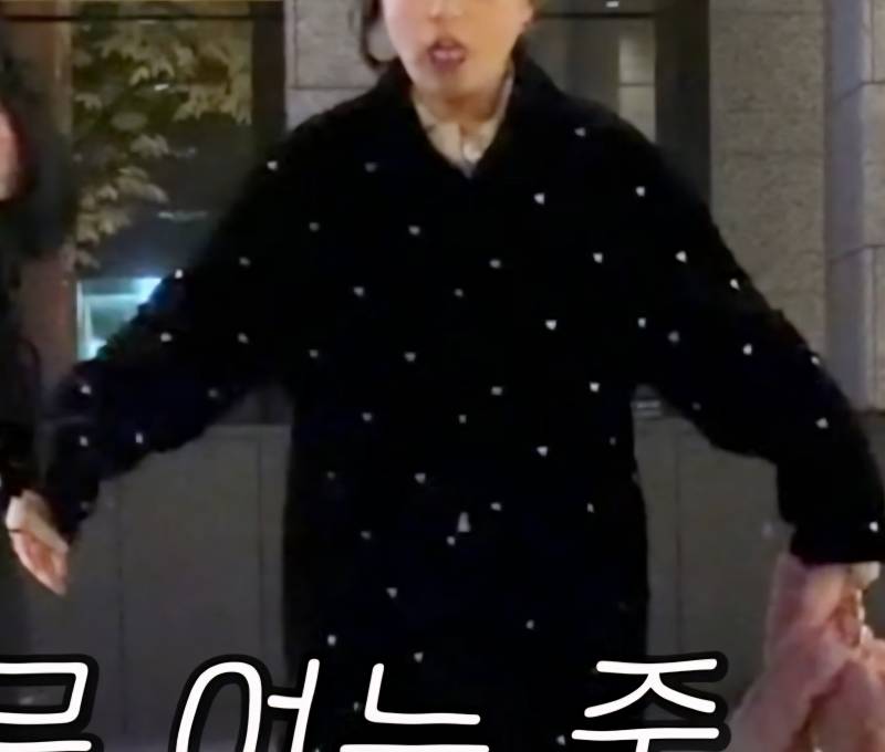 [잡담] 유튜버분 외투인데 이거 어디 브랜드일까? | 인스티즈