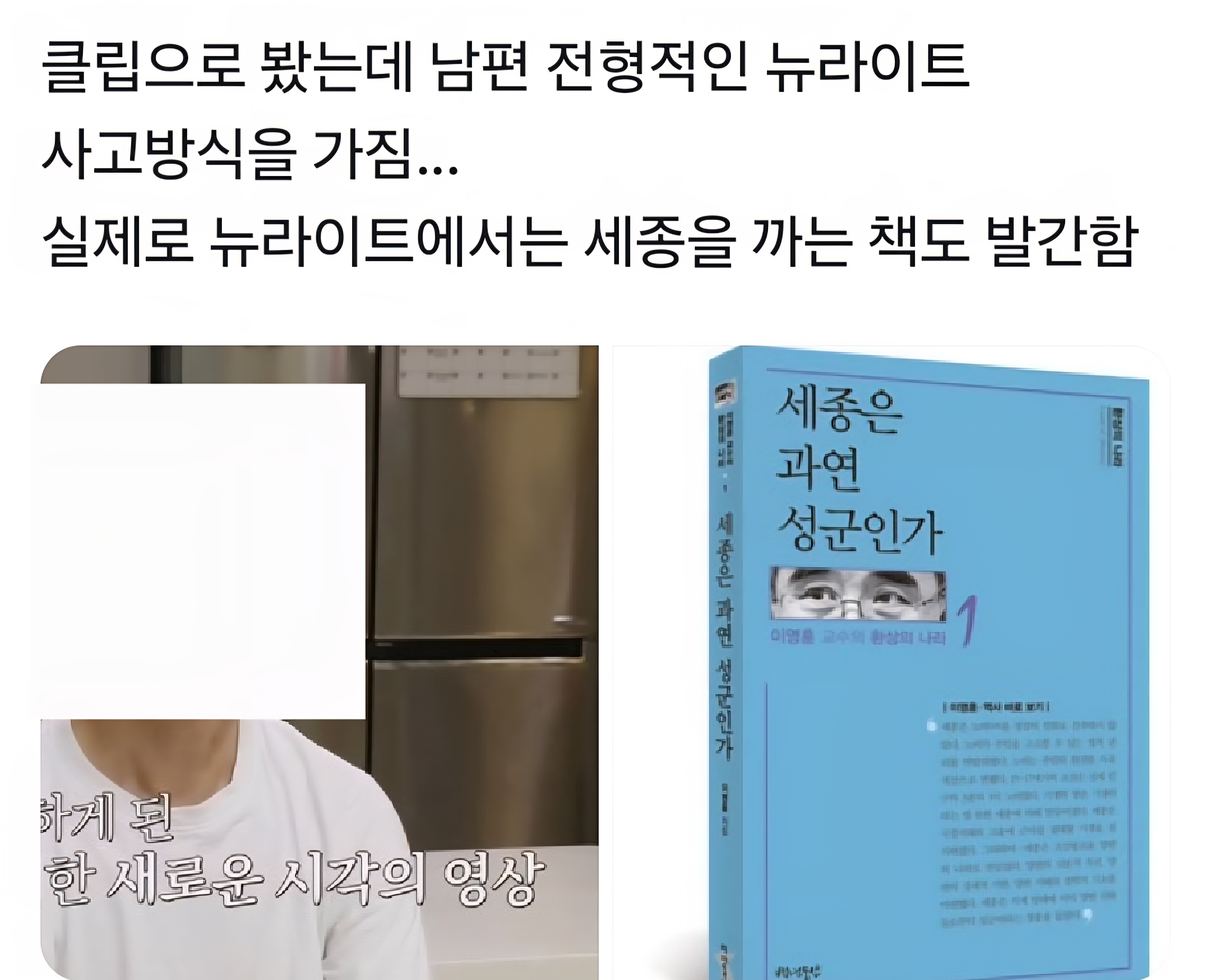 [잡담] 뉴라이트 극우세계관에서 세종대왕은 왜 싫어해?? | 인스티즈