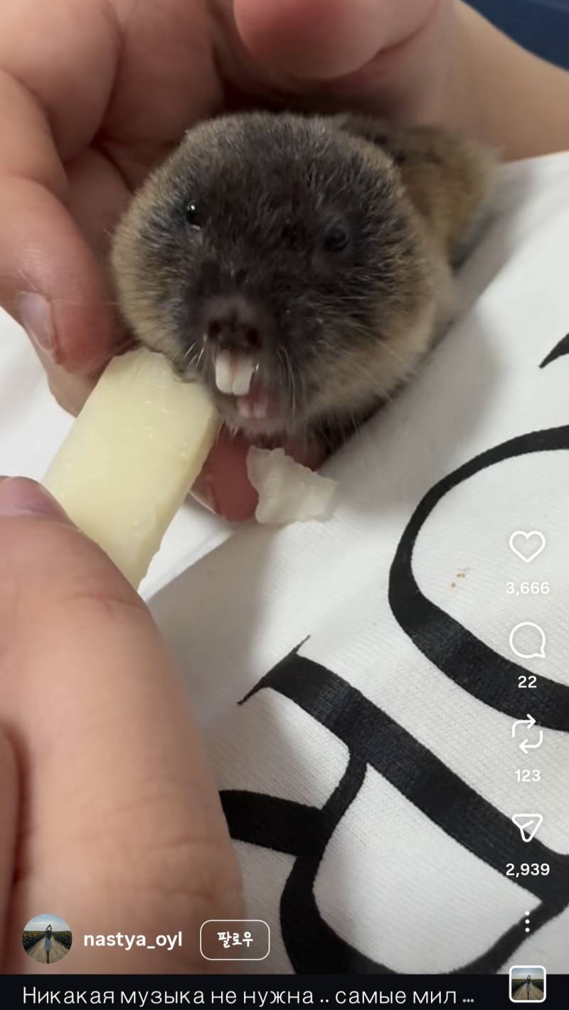 [잡담] 아 쫌 미안한데 얘 불쾌하게 생김 ㅠㅋㅋㅋㅋㅋㅋㅋㅋㅋㅋㅋ | 인스티즈