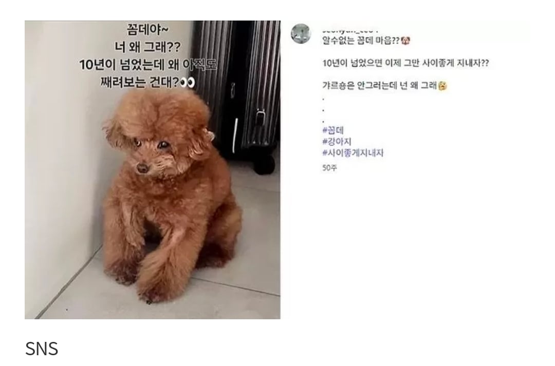 [잡담] 샤이니 키까지 번진 '주사이모' 논란…해명 요구 폭주 | 인스티즈